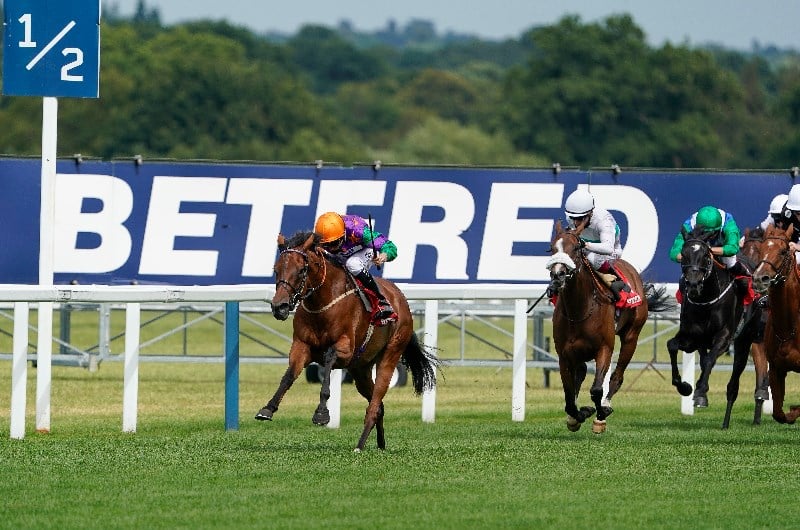 today's extra place races