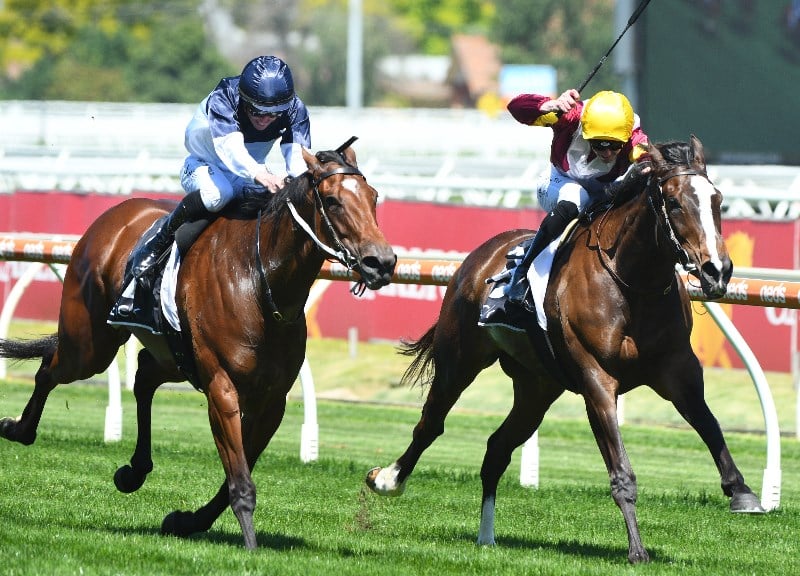 Big Bets results from 27.11.2021