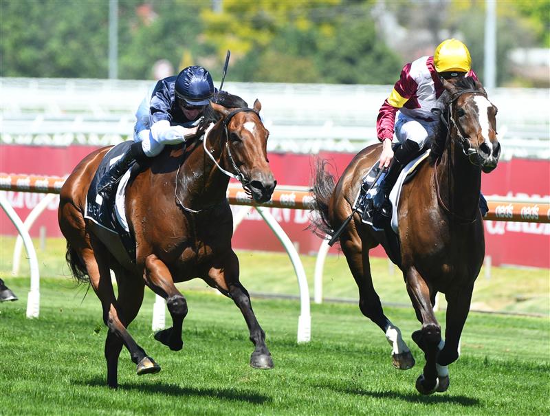 MELBOURNE, AUSTRALIA - NOVEMBER 27: Jye McNeil riding Steinem winning race 5, the Beck Probuild Summoned Stakes, during Melbourne Racing at Caulfield Racecourse on November 27, 2021 in Melbourne, Australia. (Photo by Vince Caligiuri/Getty Images)