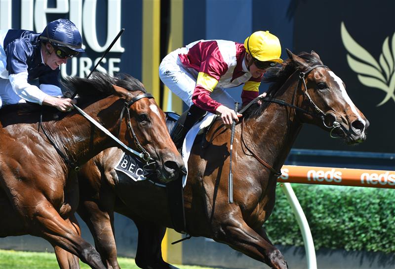MELBOURNE, AUSTRALIA - NOVEMBER 27: Jye McNeil riding Steinem winning race 5, the Beck Probuild Summoned Stakes, during Melbourne Racing at Caulfield Racecourse on November 27, 2021 in Melbourne, Australia. (Photo by Vince Caligiuri/Getty Images)