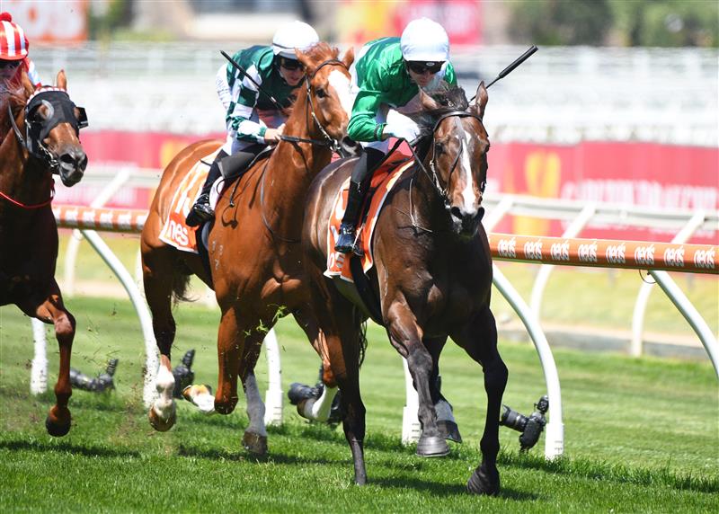 MELBOURNE, AUSTRALIA - NOVEMBER 27: Jye McNeil riding Enthaar winning Race 4, the Premier Signs Doveton Stakes, during Melbourne Racing at Caulfield Racecourse on November 27, 2021 in Melbourne, Australia. (Photo by Vince Caligiuri/Getty Images)