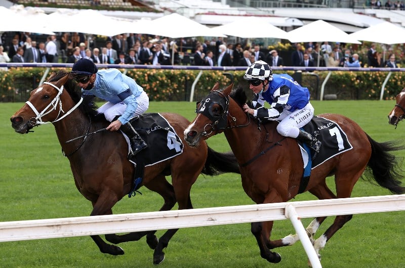 Pakenham Cup Odds