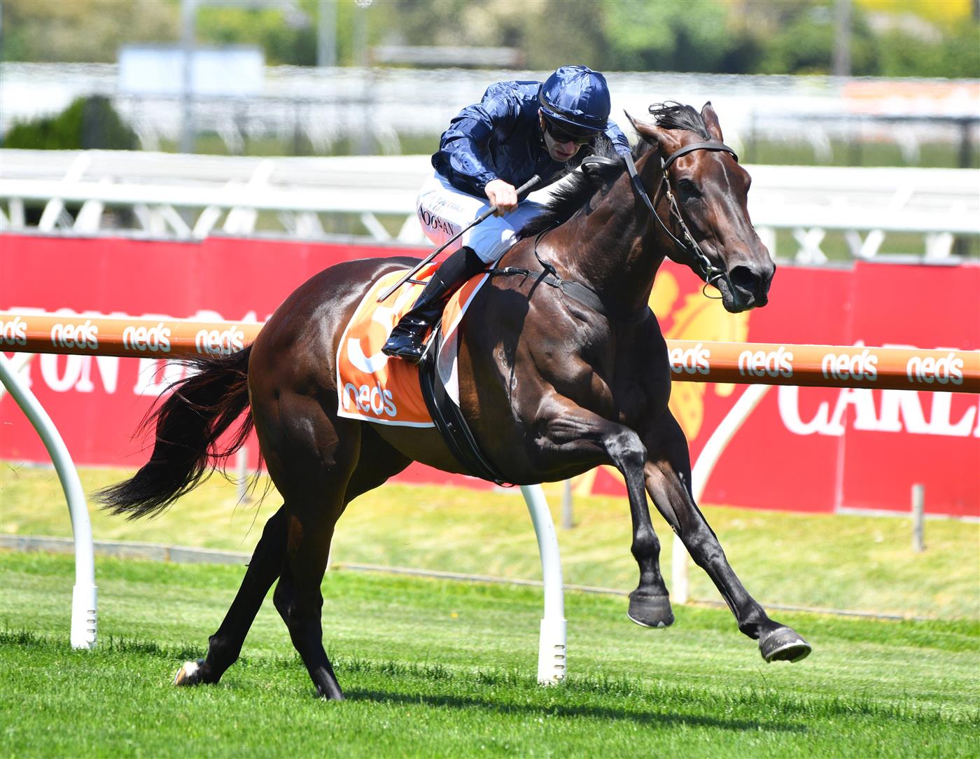 MELBOURNE, AUSTRALIA - NOVEMBER 27: Jake Noonan riding Lady Of Honour winning Race 3, the Tobin Brothers Twilight Glow Stakes, during Melbourne Racing at Caulfield Racecourse on November 27, 2021 in Melbourne, Australia. (Photo by Vince Caligiuri/Getty Images)