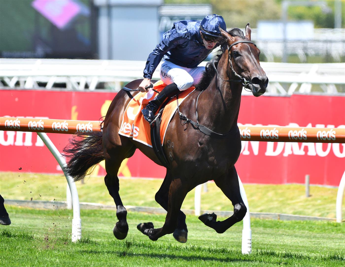 MELBOURNE, AUSTRALIA - NOVEMBER 27: Jake Noonan riding Lady Of Honour winning Race 3, the Tobin Brothers Twilight Glow Stakes, during Melbourne Racing at Caulfield Racecourse on November 27, 2021 in Melbourne, Australia. (Photo by Vince Caligiuri/Getty Images)