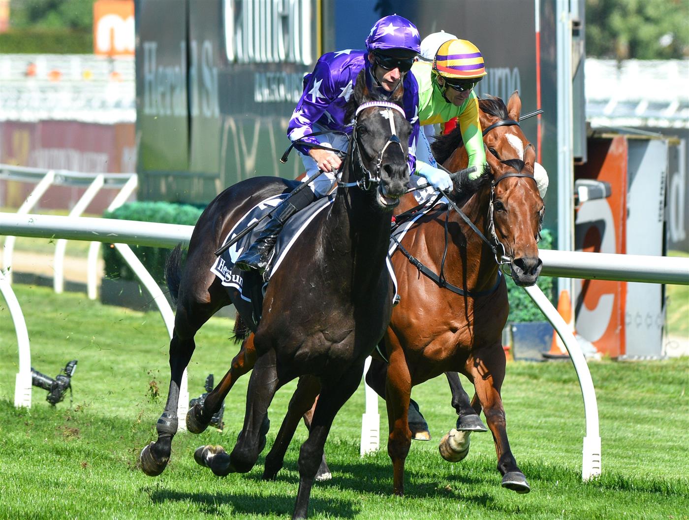 MELBOURNE, AUSTRALIA - NOVEMBER 27: Jamie Mott riding Sound winning Race 7, the Herald Sun Zipping Classic, during Melbourne Racing at Caulfield Racecourse on November 27, 2021 in Melbourne, Australia. (Photo by Vince Caligiuri/Getty Images)