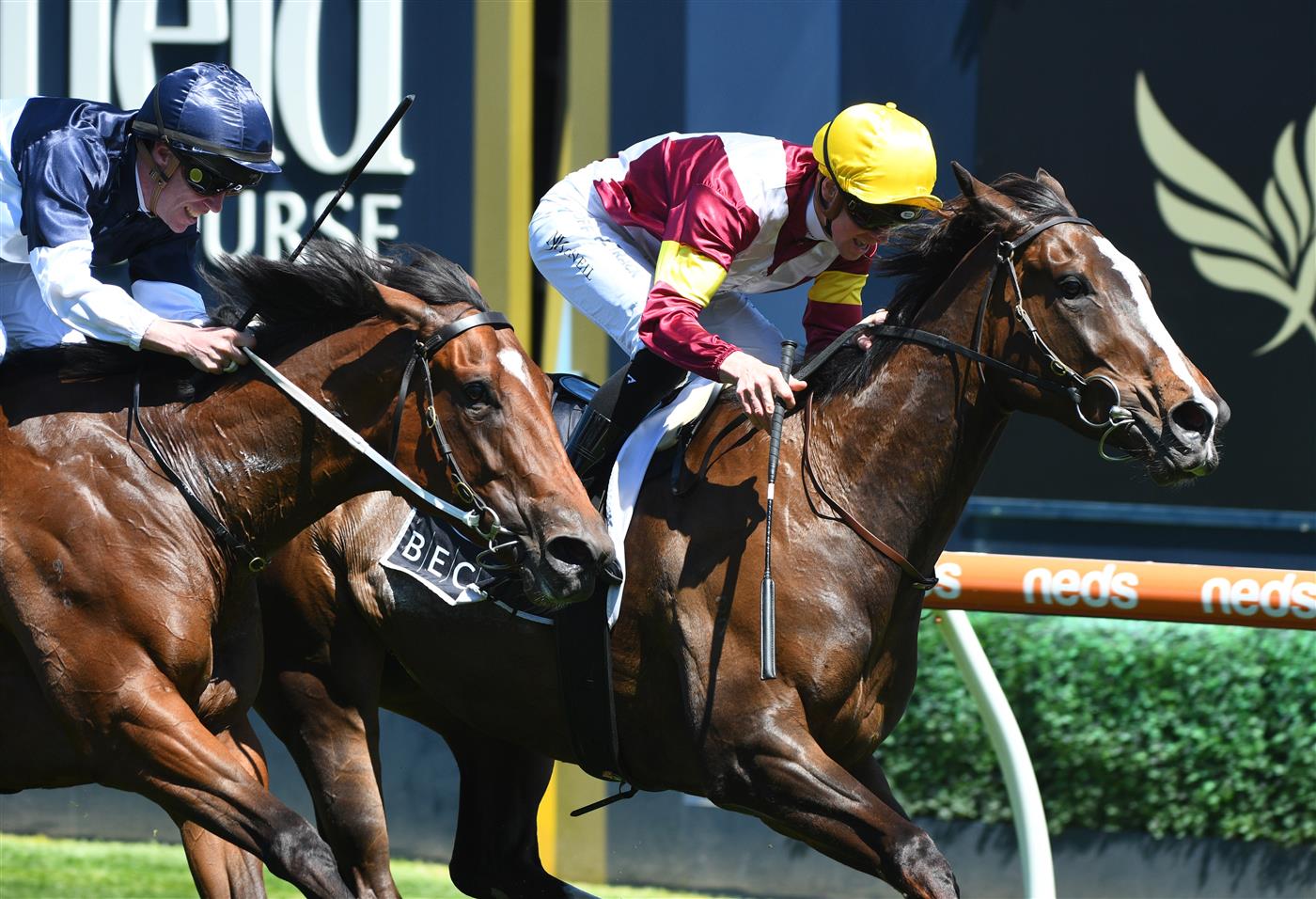 MELBOURNE, AUSTRALIA - NOVEMBER 27: Jye McNeil riding Steinem winning race 5, the Beck Probuild Summoned Stakes, during Melbourne Racing at Caulfield Racecourse on November 27, 2021 in Melbourne, Australia. (Photo by Vince Caligiuri/Getty Images)