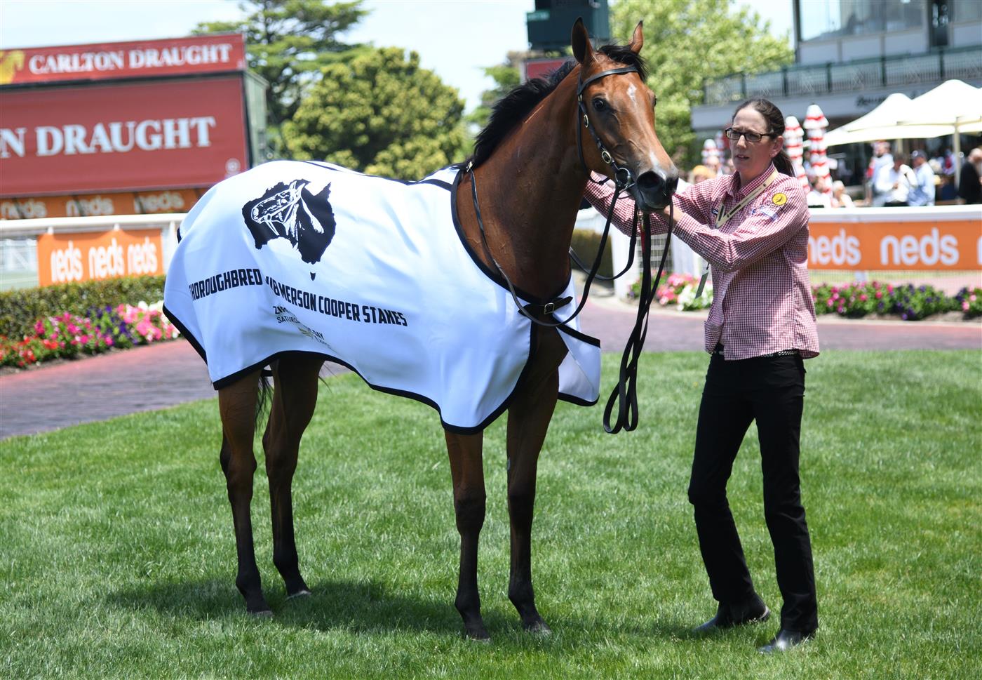 MELBOURNE, AUSTRALIA - NOVEMBER 27: Ebhaar after winning Race 1, the Thoroughbred Club Merson Cooper Stakes, during Melbourne Racing at Caulfield Racecourse on November 27, 2021 in Melbourne, Australia. (Photo by Vince Caligiuri/Getty Images)