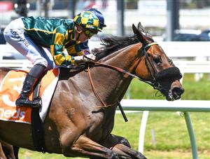 MELBOURNE, AUSTRALIA - NOVEMBER 27: Blaike McDougall riding Dragon Storm winning Race 2, the Neds Sandown Cup,  during Melbourne Racing at Caulfield Racecourse on November 27, 2021 in Melbourne, Australia. (Photo by Vince Caligiuri/Getty Images)