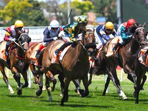MELBOURNE, AUSTRALIA - NOVEMBER 27: Blaike McDougall riding Dragon Storm winning Race 2, the Neds Sandown Cup,  during Melbourne Racing at Caulfield Racecourse on November 27, 2021 in Melbourne, Australia. (Photo by Vince Caligiuri/Getty Images)