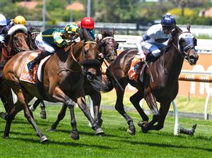 MELBOURNE, AUSTRALIA - NOVEMBER 27: Blaike McDougall riding Dragon Storm winning Race 2, the Neds Sandown Cup,  during Melbourne Racing at Caulfield Racecourse on November 27, 2021 in Melbourne, Australia. (Photo by Vince Caligiuri/Getty Images)