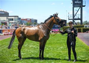 MELBOURNE, AUSTRALIA - NOVEMBER 27: Dragon Storm after winning Race 2, the Neds Sandown Cup,  during Melbourne Racing at Caulfield Racecourse on November 27, 2021 in Melbourne, Australia. (Photo by Vince Caligiuri/Getty Images)