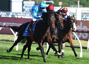 MELBOURNE, AUSTRALIA - NOVEMBER 27: Craig Williams riding Sinawann winning  Race 9, the Quayclean Kevin Heffernan Stakes, during Melbourne Racing at Caulfield Racecourse on November 27, 2021 in Melbourne, Australia. (Photo by Vince Caligiuri/Getty Images)