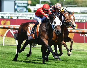 MELBOURNE, AUSTRALIA - NOVEMBER 27: Damian Lane riding Blue Army winning race 6, the Neds Sandown Guineas, during Melbourne Racing at Caulfield Racecourse on November 27, 2021 in Melbourne, Australia. (Photo by Vince Caligiuri/Getty Images)