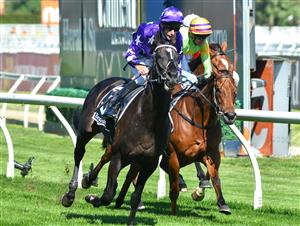 MELBOURNE, AUSTRALIA - NOVEMBER 27: Jamie Mott riding Sound winning Race 7, the Herald Sun Zipping Classic, during Melbourne Racing at Caulfield Racecourse on November 27, 2021 in Melbourne, Australia. (Photo by Vince Caligiuri/Getty Images)