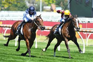 MELBOURNE, AUSTRALIA - NOVEMBER 27: Jye McNeil riding Steinem winning race 5, the Beck Probuild Summoned Stakes, during Melbourne Racing at Caulfield Racecourse on November 27, 2021 in Melbourne, Australia. (Photo by Vince Caligiuri/Getty Images)