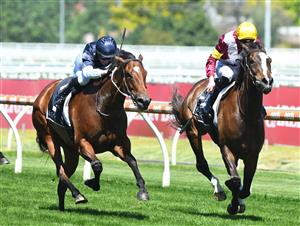 MELBOURNE, AUSTRALIA - NOVEMBER 27: Jye McNeil riding Steinem winning race 5, the Beck Probuild Summoned Stakes, during Melbourne Racing at Caulfield Racecourse on November 27, 2021 in Melbourne, Australia. (Photo by Vince Caligiuri/Getty Images)