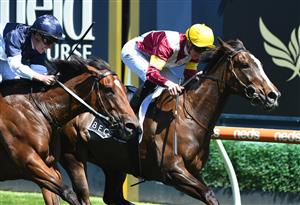 MELBOURNE, AUSTRALIA - NOVEMBER 27: Jye McNeil riding Steinem winning race 5, the Beck Probuild Summoned Stakes, during Melbourne Racing at Caulfield Racecourse on November 27, 2021 in Melbourne, Australia. (Photo by Vince Caligiuri/Getty Images)