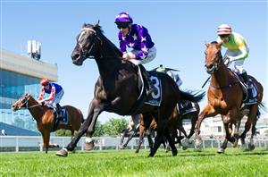 Zipping Classic Day Highlights