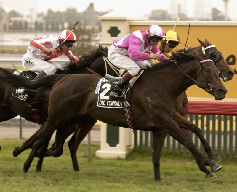 Kingston Town Classic Tips