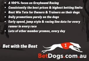 Get Early Speed, Jump Style & Racing Line Data on Every Race at BetDogs
