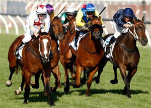 Kingston Town Classic Tips & Runner-By-Runner Preview