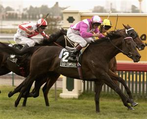 Kingston Town Classic Tips & Preview  - Western Empire to do the Perth Group 1 double