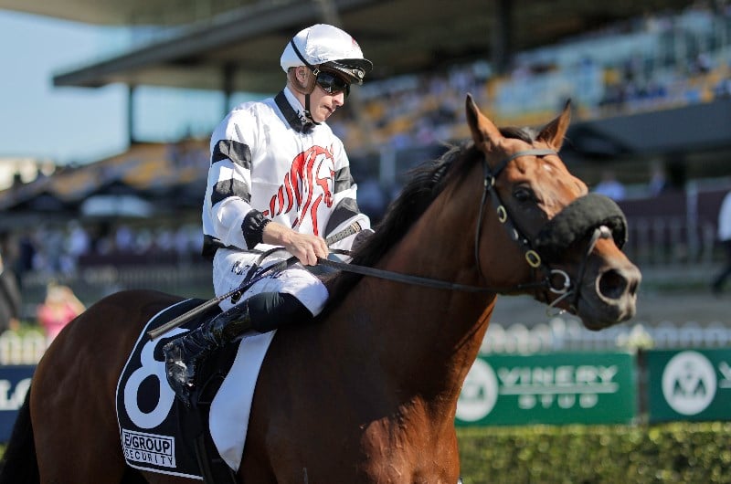 George Moore Stakes Tips