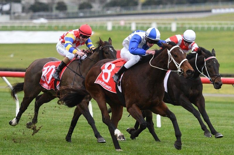 Wangaratta Betting Tips