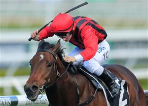 Mudgee Tips for 03.12.2021