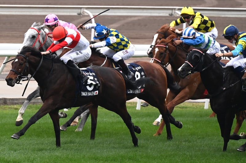 Hong Kong Sprint Odds
