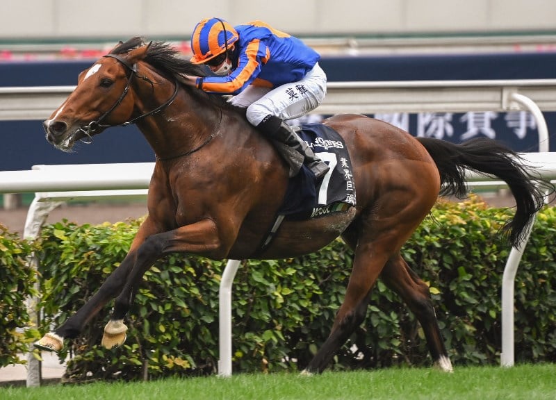 Hong Kong Vase Odds