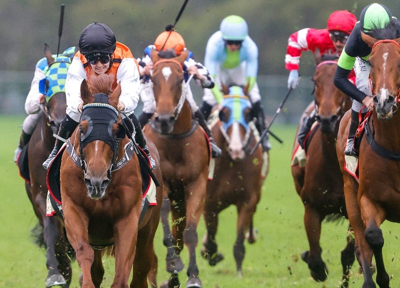 Villiers Stakes odds