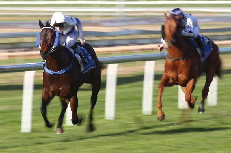 Eagle Farm Betting Tips