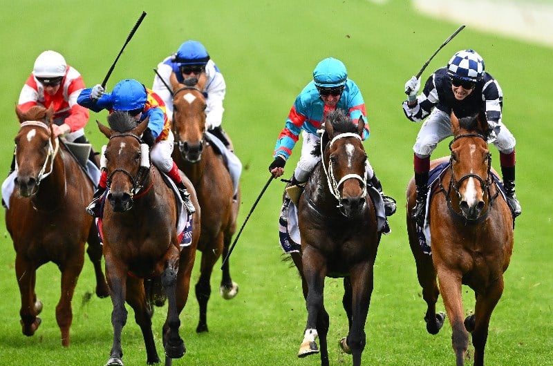 Flemington Betting Tips