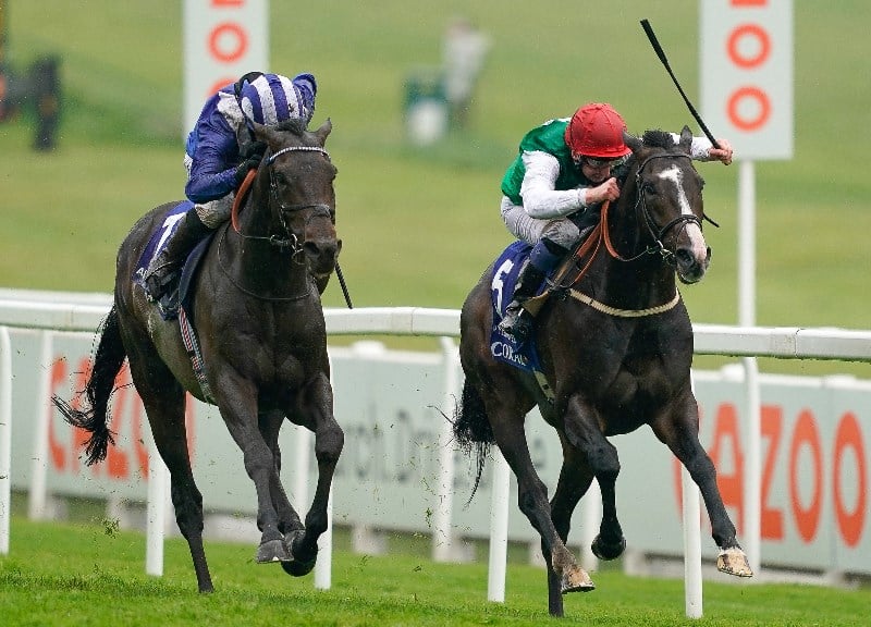 Hong Kong Vase Tips & Predictions Pyledriver to lift the Vase at Sha Tin