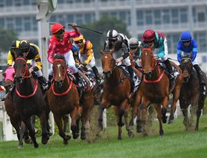 Hong Kong Sprint Tips