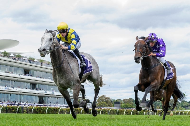 Big Bets Results from 11.12.2021
