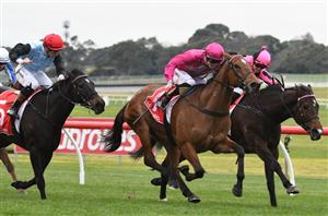 Kyneton cup bettingadvice how does sports betting work football