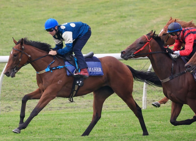 Magic Millions 2YO Classic