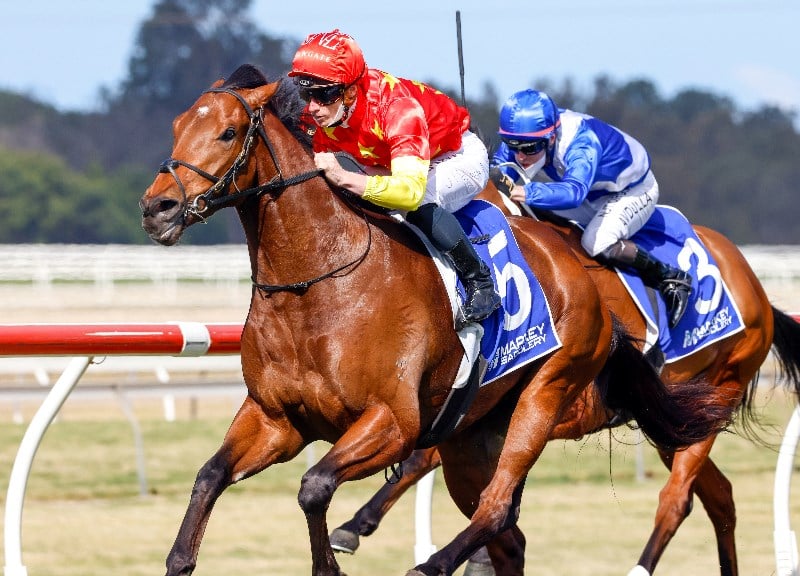 magic millions race day 2022 betting trends