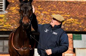 Nicholls and De Bromhead ready stars for the King George
