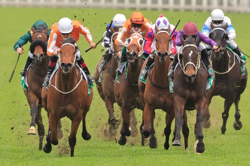 Big Bets for 18.12.2021