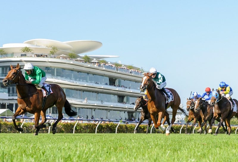 Big Bets Results from 18.12.2021
