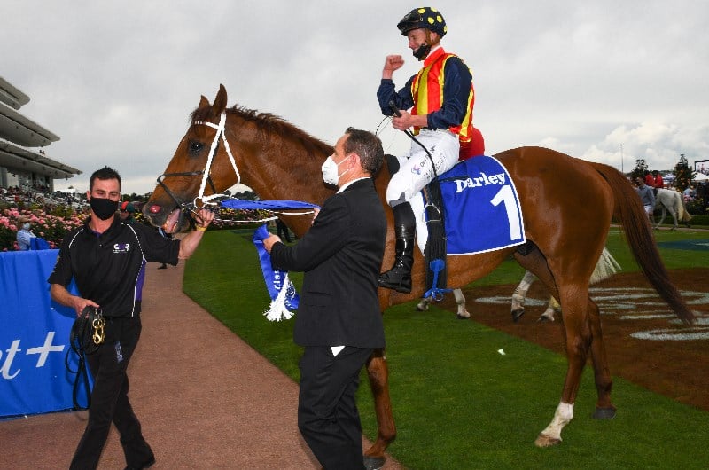 Black Caviar Lightning Stakes Betting Odds