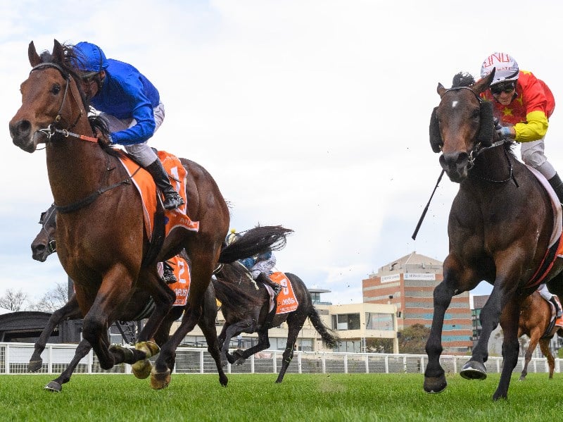 Randwick Guineas betting odds