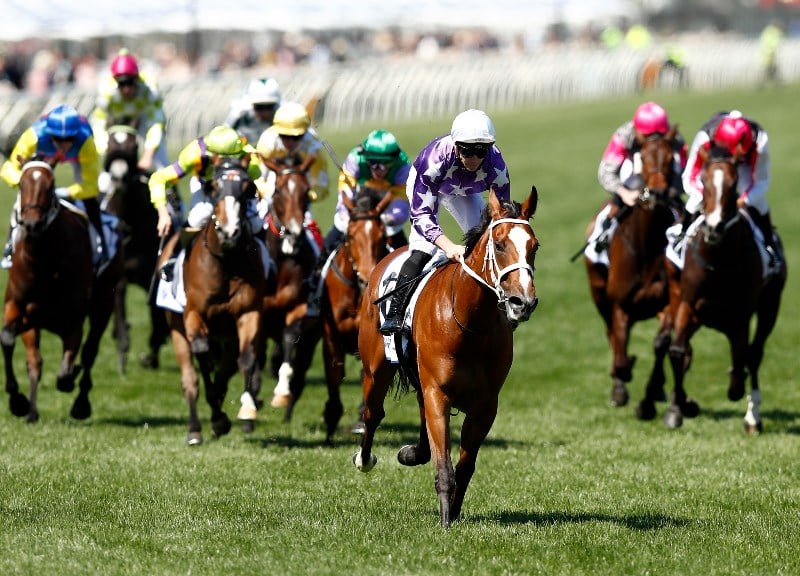 Surround Stakes Betting Odds