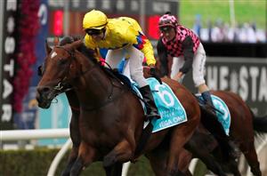 Magic Millions 3YO Guineas Tips & Preview - Far Too Easy a value option at Gold Coast
