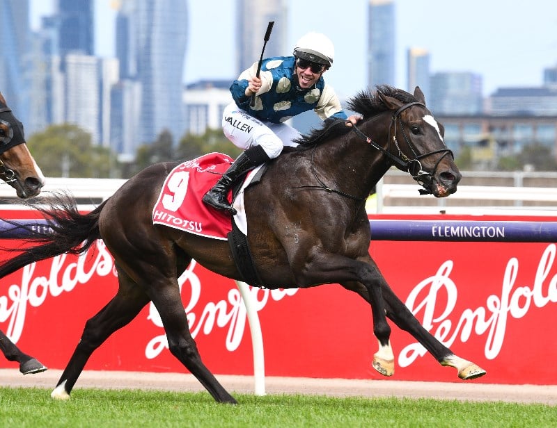 Australian Derby betting odds