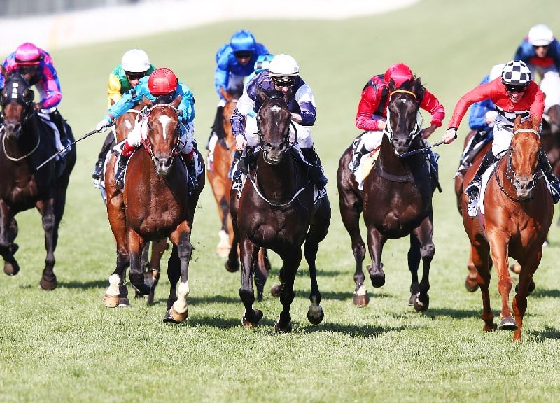 Perth Cup 2022 Barrier Draw - Perth Cup 2022 Final Field