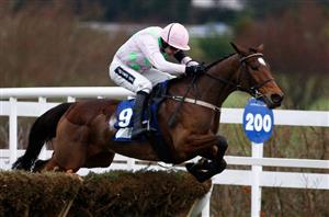 2021 Matheson Hurdle Tips - Can Sharjah create history at Leopardstown?